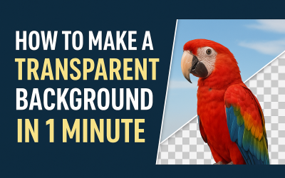 Photoshop Tip: Create a Transparent Background in 1 Minute